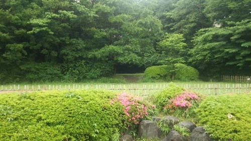 20160530_181104