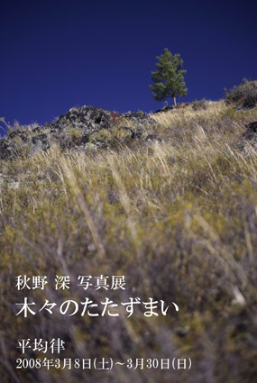 akino-dm.jpg