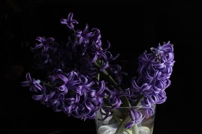 IMG_9804