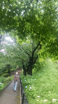 20160530_181014