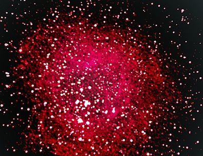 薔薇の輪舞曲
