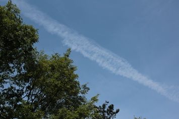 IMG_4276