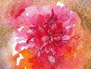flowermini1