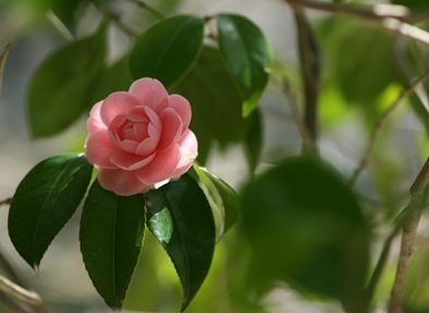 IMG_3562