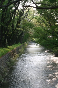 tamagawa.jpg