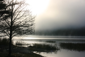 img20081118.jpg