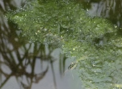 IMG_9580