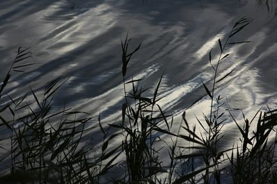 IMG_9811