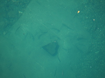 P9020631