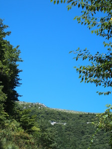 P9020777