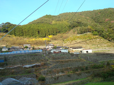 DSC04085