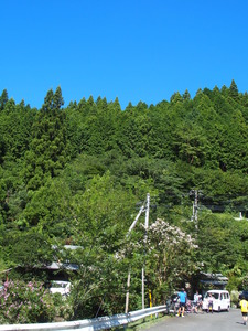 P9020613