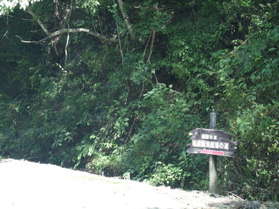 P9030939