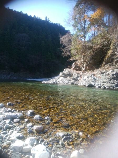 [画像:00796686-s.jpg]