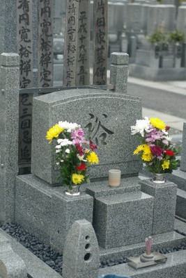 IMGP9658