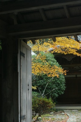 IMGP9660