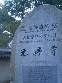 img20081103_3.jpg
