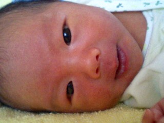 img20060322.jpg