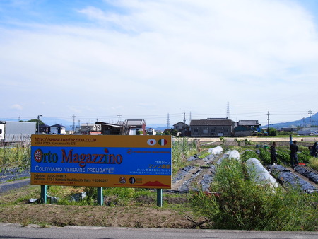 P5220211