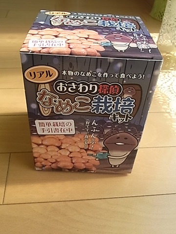 RIMG2391