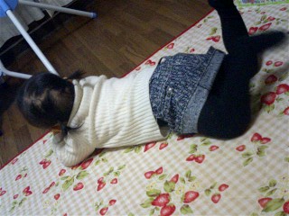 img20060131.jpg