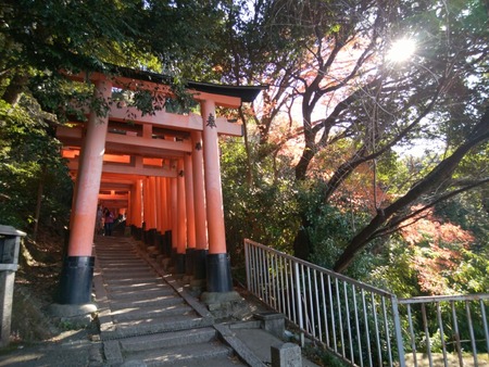 [画像:1c021d65-s.jpg]