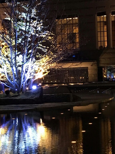 received_1677988818919673