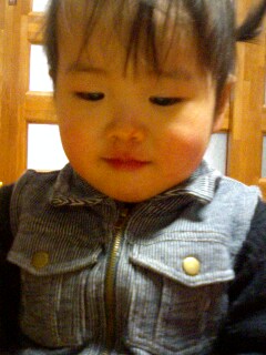 img20060219_2.jpg