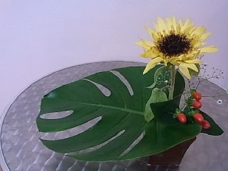 rimg0034.jpg