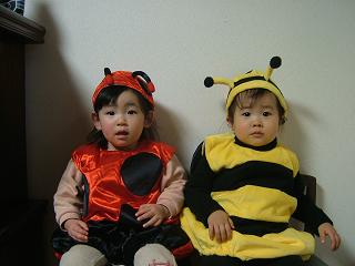 img20060216_4.jpg