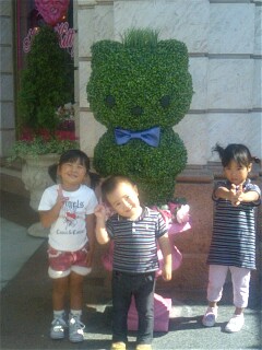 img20081007_12.jpg