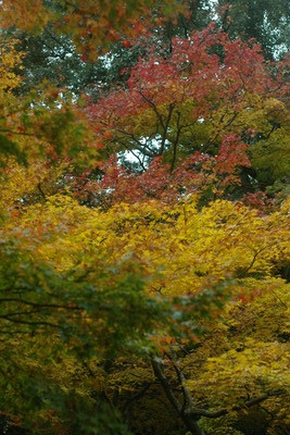 IMGP0090
