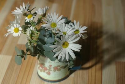 IMGP0208