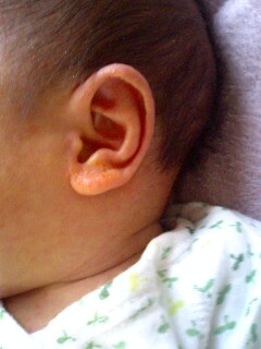img20060414_1.jpg