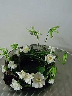 rimg0029.jpg