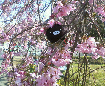 img20060429_2.jpg