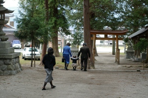 IMGP0614-2.jpg