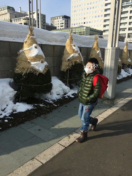 EffectPlus_20170131_124218