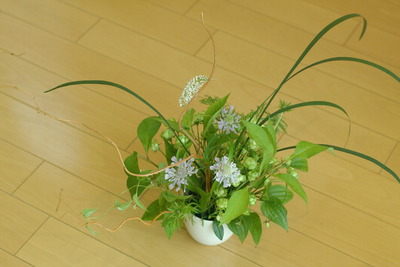 IMGP4016