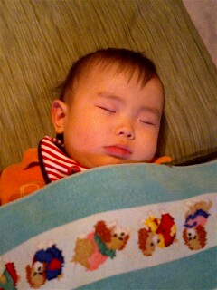 img20070129_7.jpg