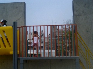 img20080710_2.jpg