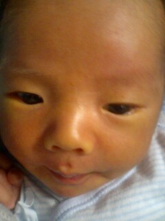 img20060403_2.jpg
