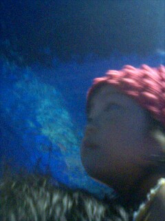 img20070925_1.jpg