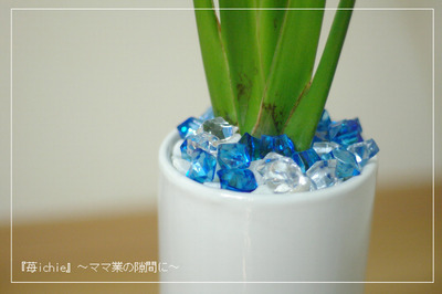 BlogPaint