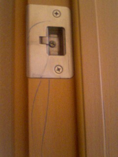 img20080714_1.jpg