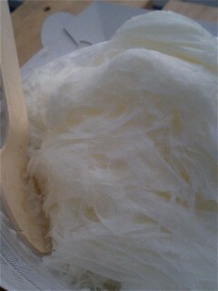 img20070925_4.jpg