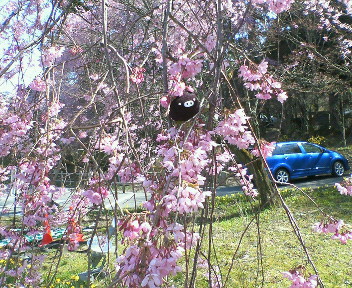 img20060429_1.jpg