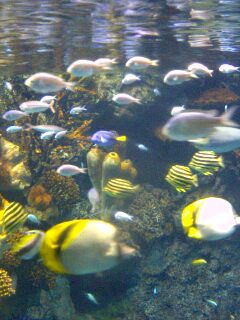 img20070925_2.jpg