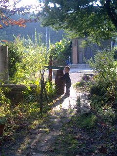 img20071110_3.jpg