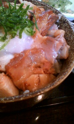 img20081115.jpg